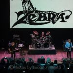 Live Review: Zebra at Arcada Theatre